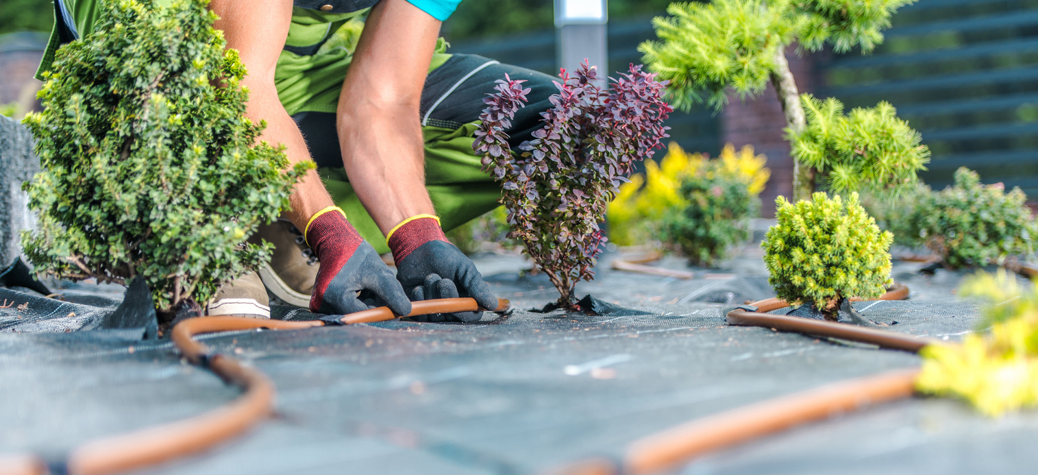 A small business owner at work, preparing garden plants